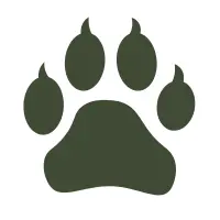 CBD Dogs | Hemp farms